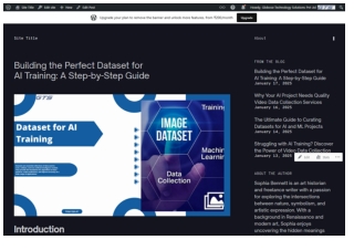 Building the Perfect Dataset for AI Training A Step-by-Step Guide