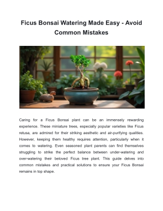 Ficus Bonsai1
