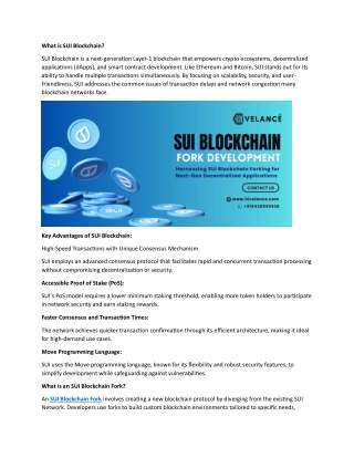 SUI Blockchain Forking development