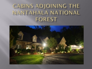 Cabins Adjoining The Nantahala National Forest