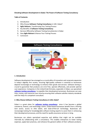 Elevating Software Development in Dubai