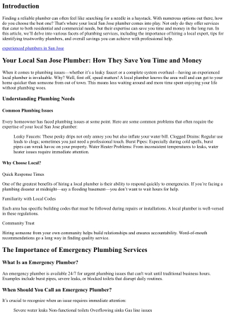Your Local San Jose Plumber: How They Save You Time and Money
