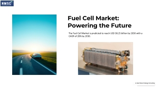 Fuel Cell Market