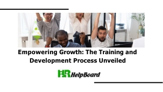 training-and-development-process