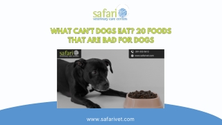 What Can’t Dogs Eat? 20 Foods That Are Bad for Dogs