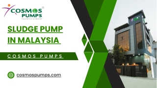 sludge pump in Malaysia - cosmso pumps