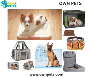 Secure Your Home with a Lockable Pet Door