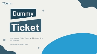 Dummy Flight Tickets: Cost-Effective Solutions for Visa Requirements