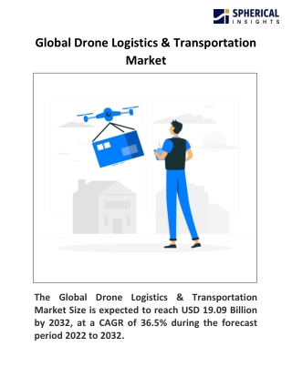 Global Drone Logistics