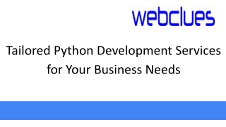 Tailored Python Development Services for Your Business Needs
