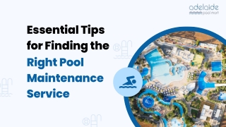 Essential Tips for Finding the Right Pool Maintenance Service