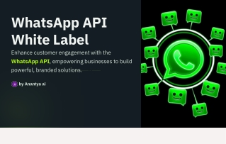 WhatsApp API White Label