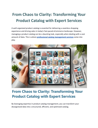 From Chaos to Clarity: Transforming Your Product Catalog with Expert Services