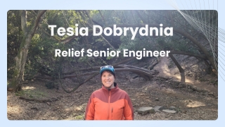 Tesia Dobrydnia - Relief Senior Engineer