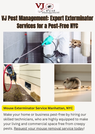 VJ Pest Management Expert Exterminator Services for a Pest-Free NYC