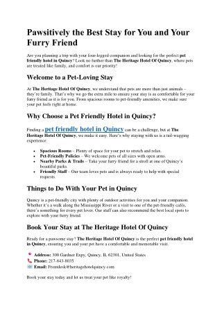 Pawsitively the Best Stay for You and Your Furry Friend