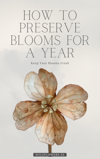 A Guide to Keeping Your Blooms Fresh for a Year