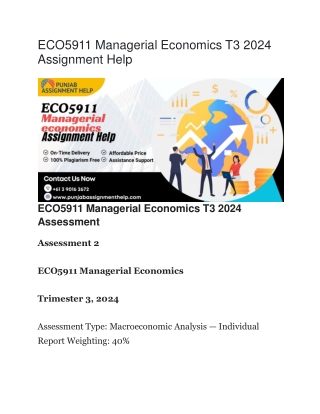 ECO5911 Managerial Economics T3 2024 Assignment Help