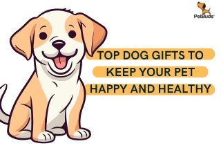 Top Dog Gifts to Keep Your Pet Happy and Healthy