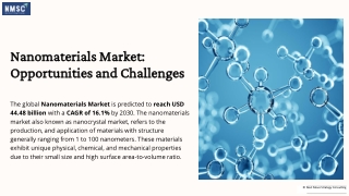 Nanomaterials-Market-Opportunities-and-Challenges