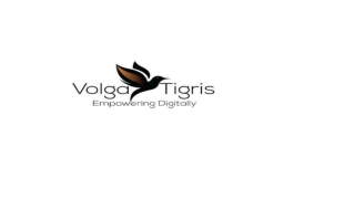 SEO FIRM IN DUBAI _ Volga Tigris