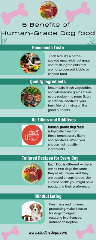 5 Benefits of Human-Grade Dog Food