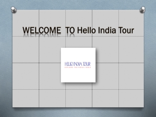Golden Triangle Tours Europe | Hello India Tour