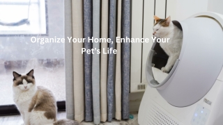 Smart Storage Solutions for Pet Owners