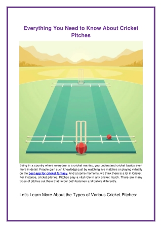 Cricket Insights - Comprehensive Guide to Cricket Pitches