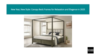 New Year 2025 With Canopy Bed Frames In Your House