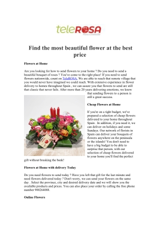 Find the most beautiful flower at the best price