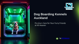 Dog Boarding Kennels Auckland