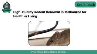 High-Quality Rodent Removal in Melbourne for Healthier Living