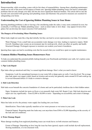 Understanding the Cost of Ignoring Hidden Plumbing Issues in Your Home