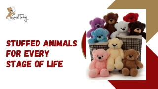 Stuffed Animals for Every Stage of Life