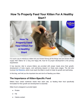 How To Properly Feed Your Kitten For A Healthy Start ?