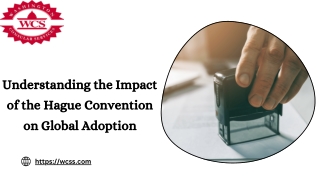 Understanding the Impact of the Hague Convention on Global Adoption