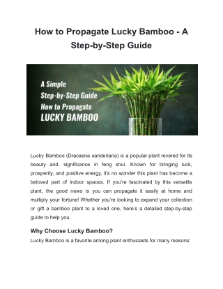How to Propagate Lucky Bamboo - A Step-by-Step Guide
