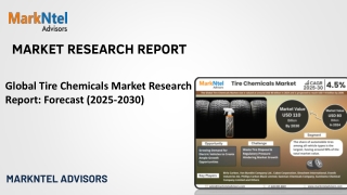 Global Tire Chemicals Market Research Report: Forecast (2025-2030)