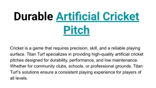 Durable Artificial Cricket Pitch