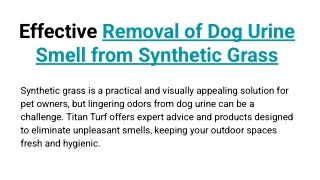 Effective Removal of Dog Urine Smell from Synthetic Grass