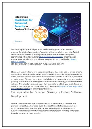Integrating Blockchain for Enhanced Security in Custom Software
