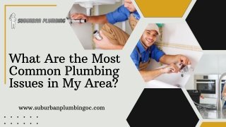 What Are the Most Common Plumbing Issues in My Area