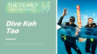 Dive Koh Tao | Dearly Koh Tao