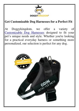 Get Customizable Dog Harnesses for a Perfect Fit