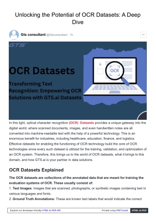 Unlocking the Potential of OCR Datasets: A Deep Dive