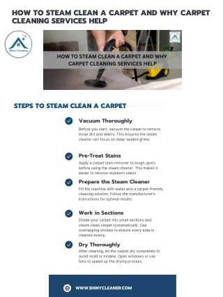 How to Steam Clean a Carpet and Why Carpet Cleaning Services Help