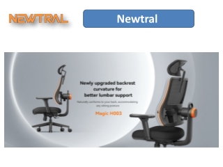 Improve Your Home Office Workspace with the Optimal Ergonomic Chair