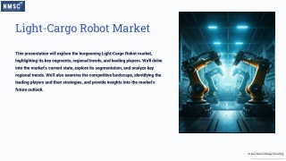 Light Cargo Robot Market Future Strategies and Trends