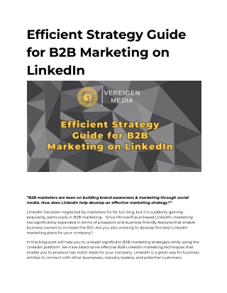 Efficient Strategy Guide for B2B Marketing on LinkedIn